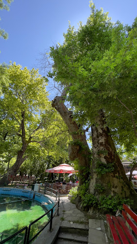 Comentarii opinii despre Καφε Κηπος