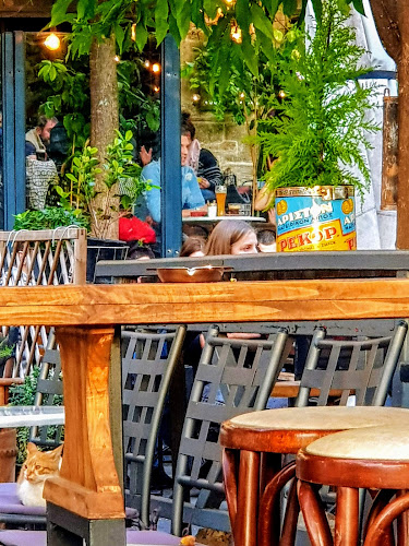 Comentarii opinii despre Νικηφόρος