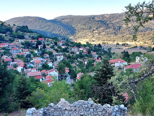 Ελικώνας 321 00