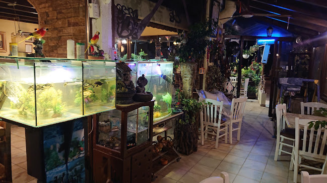 Comentarii opinii despre PIZZA QUEBEC