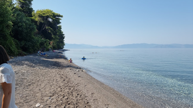 Dafni tavern - Γαστρονομία και φιλοξενία