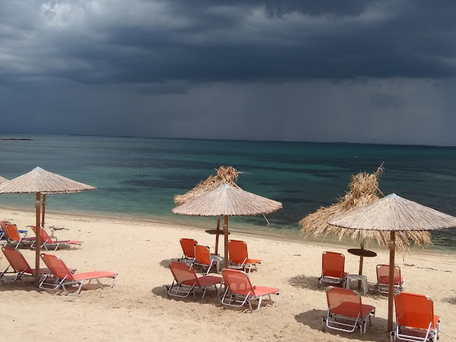 Comentarii opinii despre Coco Beach Bar