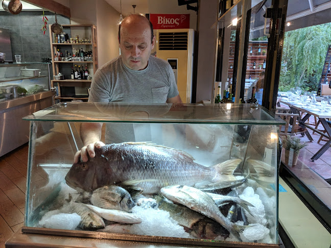 Φιλέτο restaurant - Γαστρονομία και φιλοξενία