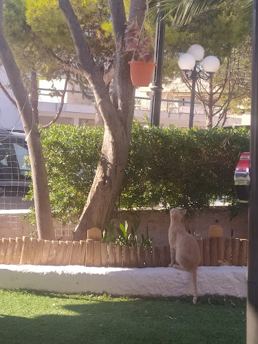 Σιδέρη Μπέη, Παλαιά Φώκαια 190 13