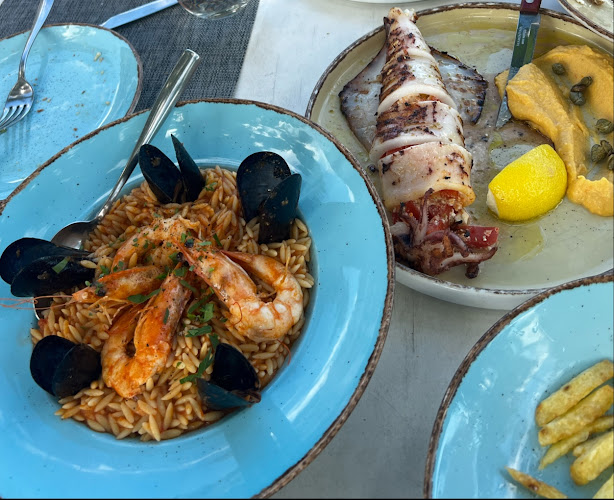 Αχινός - Ναύπακτος