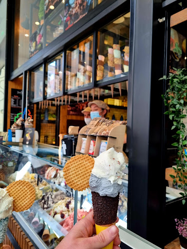 Lartecono Davinci Gelato