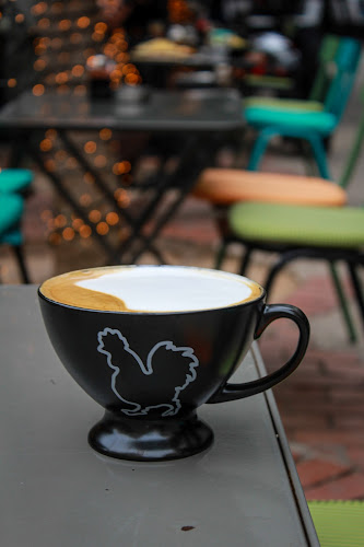 Comentarii opinii despre Rooster