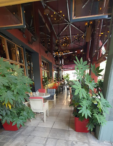 Urban - Γαστρονομία και φιλοξενία