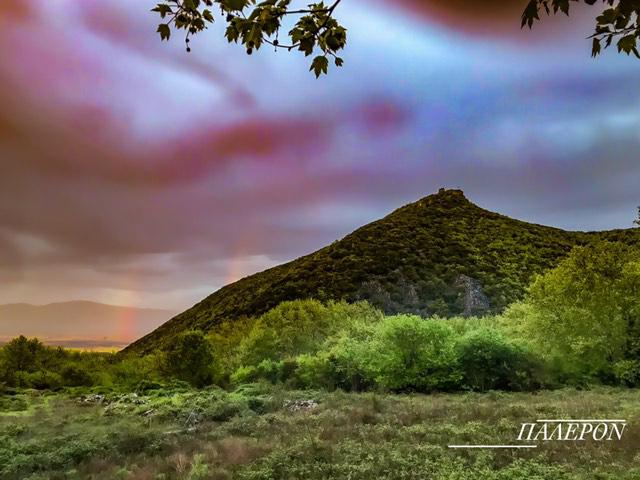 ΠΑΛΕΡΟΝ (ΚΑΦΕ-ΠΙΤΣΑΡΙΑ-ΤΑΒΕΡΝΑ) - Γαστρονομία και φιλοξενία