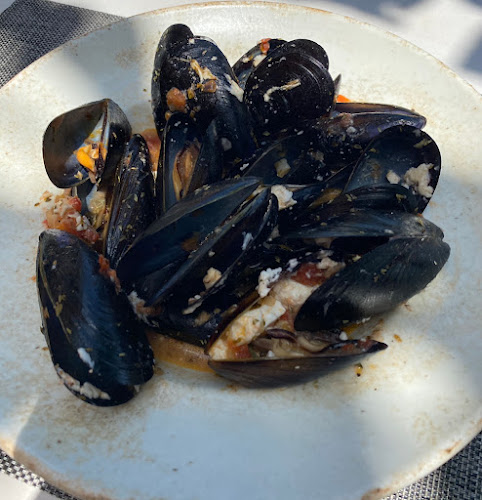 Αχινός - Ναύπακτος