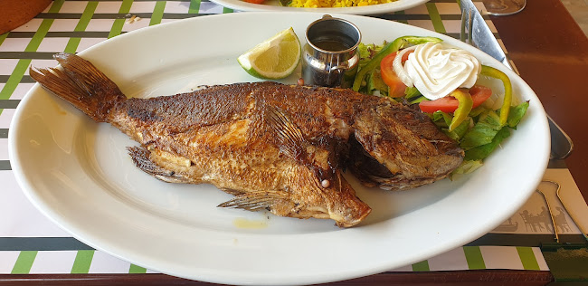 Taverna psaropoula - Κουτσουνάρι