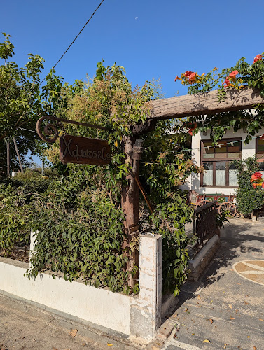 Χαμάκος & Co.