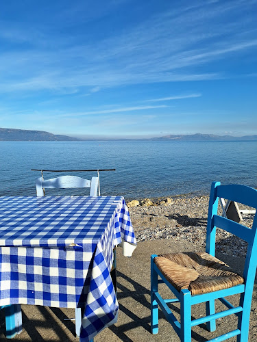 Comentarii opinii despre ΤΟ ΚΟΡΑΛΛΙ