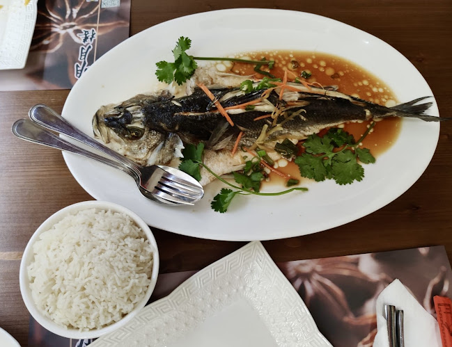 Comentarii opinii despre Attic Moon 明月楼, 希腊雅典