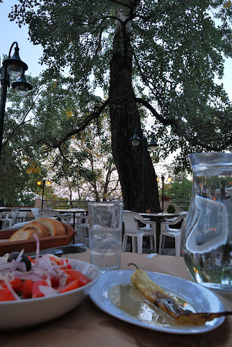 Opinii despre Εστιατόριο "Οι Μύλοι" în Λιτόχωρο - Γαστρονομία και φιλοξενία