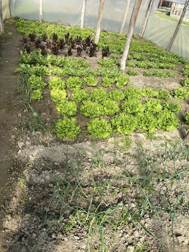 Συνταγματάρχη Δαβάκη 1, Σκύδρα 585 00