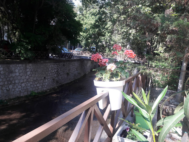 Opinii despre Αυθεντικο, πρατηριο αρτου και γλυκου în Λιβαδειά - Γαστρονομία και φιλοξενία