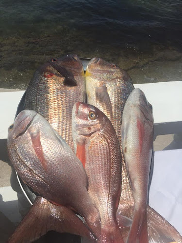 Comentarii opinii despre Πανόραμα