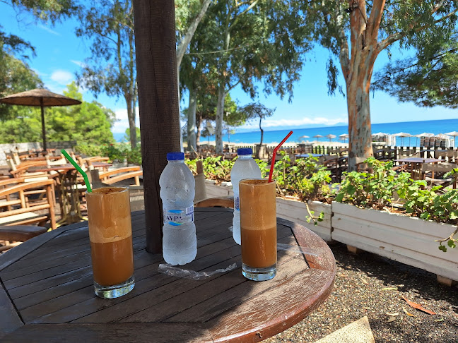 Ocean Cafe Bar Surf Club - Γαστρονομία και φιλοξενία