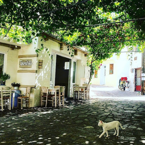 Παλαιόκαστρο 831 00