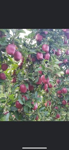 RX45+JX, Έδεσσα 582 00