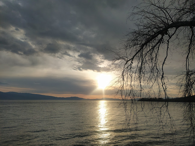 Η Μυρτιά - Γαστρονομία και φιλοξενία