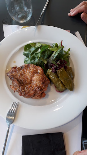 Comentarii opinii despre Vivarium Wine Restaurant