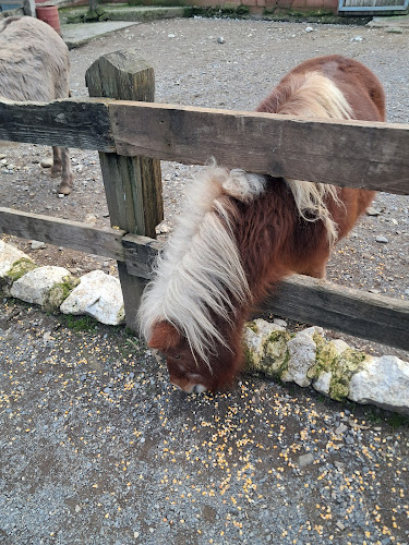 Αγρόκτημα Παπάκια