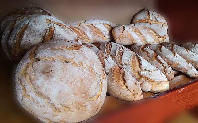 Ελαίας, Μολάοι 230 52