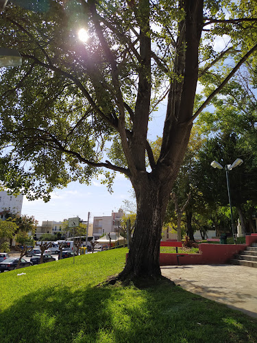 Τζων Κέννεντυ, Ειρήνης και, Περιστέρι 121 36