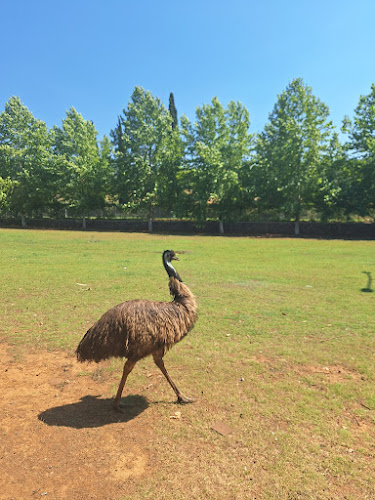 F3GH+CQ, Καρύταινα 220 22