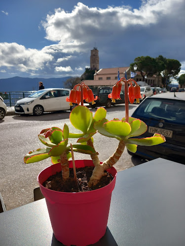 Οδός Αθηνών - Δελφών (109,67 km, Αράχωβα 320 04