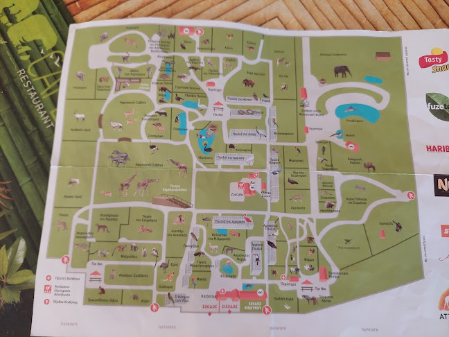 Unnamed Road, Σπάτα 190 04