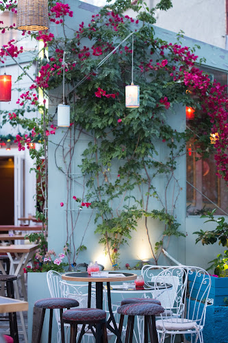 Comentarii opinii despre Perro Nero