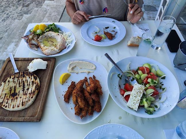 Νέα Προποντίδα 630 80