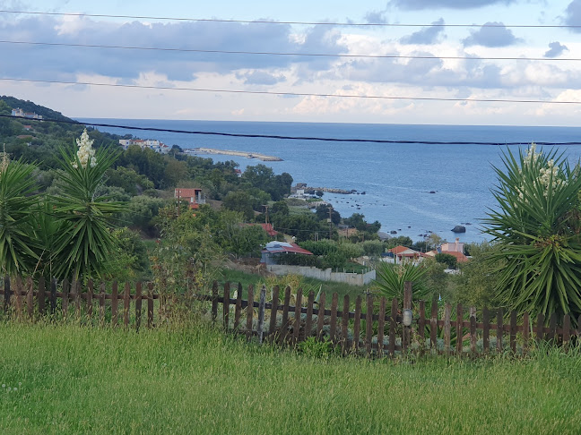 Epar.Od. Agias-Sklithrou 400 03, Πολυδένδρι 400 03