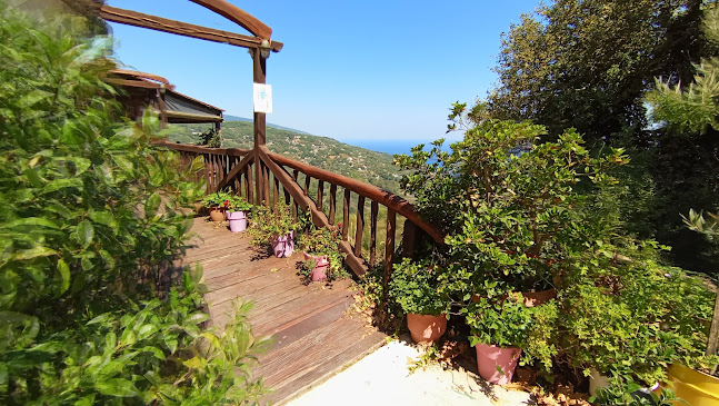 Ταβέρνα Δροσιά - Γαστρονομία και φιλοξενία