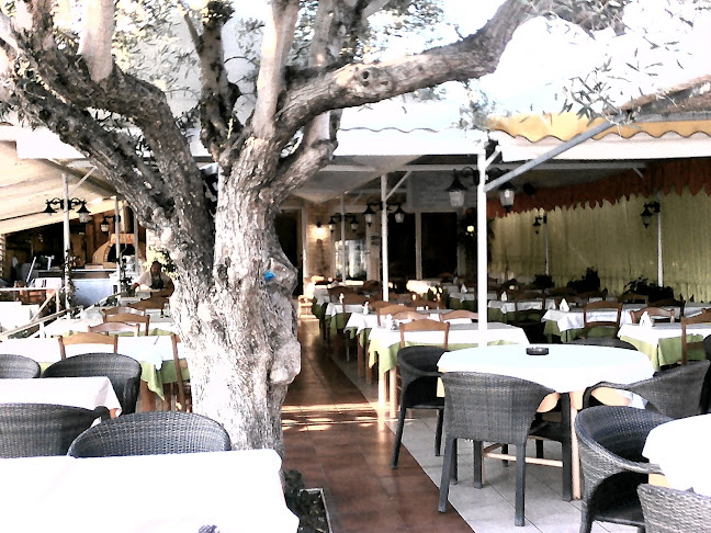 Marco Polo Taverna Grill
