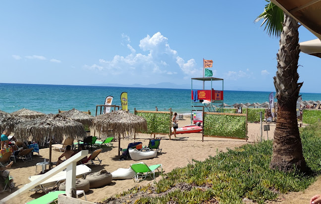 Comentarii opinii despre Thines