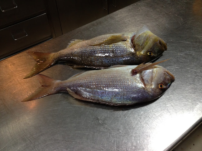 Άι Λαγούδι, Κυπαρισσία 245 00