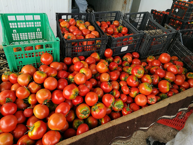 Comentarii opinii despre Κτήμα παλούκη