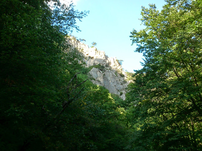 Ανθέων 72, Περαία 570 19