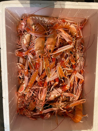 Comentarii opinii despre Tsaf chalkida - mykonos