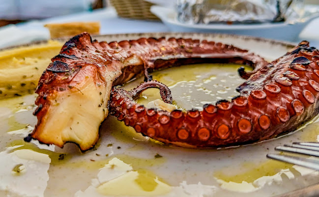 Το Κύμα - Άφυτος