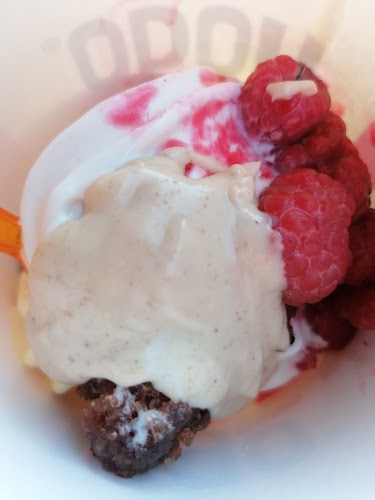 Comentarii opinii despre Yogo Frozen