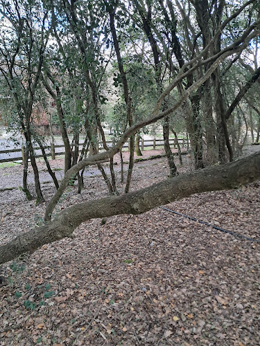 Opinii despre Αγρόκτημα Παπάκια în Καλαμάτα - Γαστρονομία και φιλοξενία