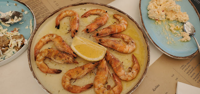 Αχινός - Ναύπακτος