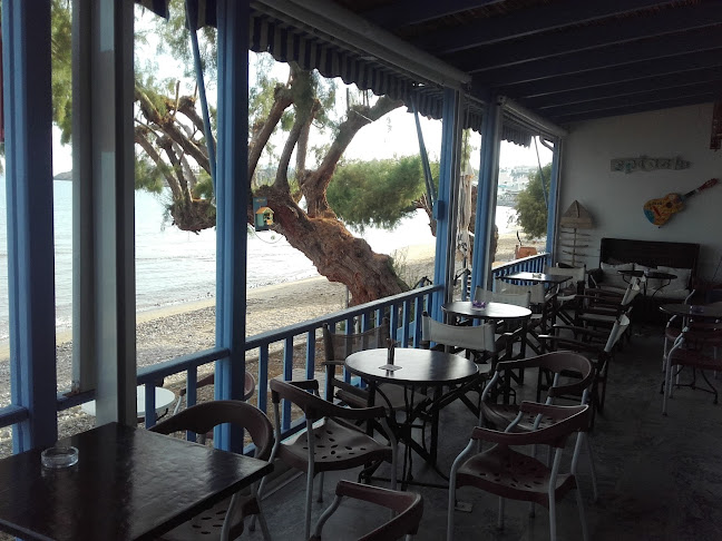 Splash Beach Bar - Café - Γαστρονομία και φιλοξενία