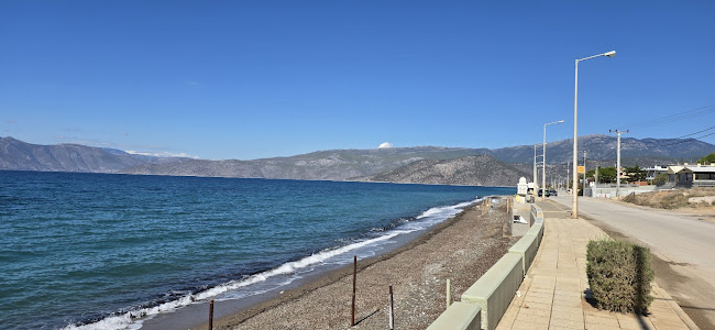 Comentarii opinii despre Kelsos