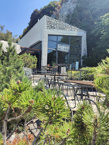 Gallaria - Γαστρονομία και φιλοξενία